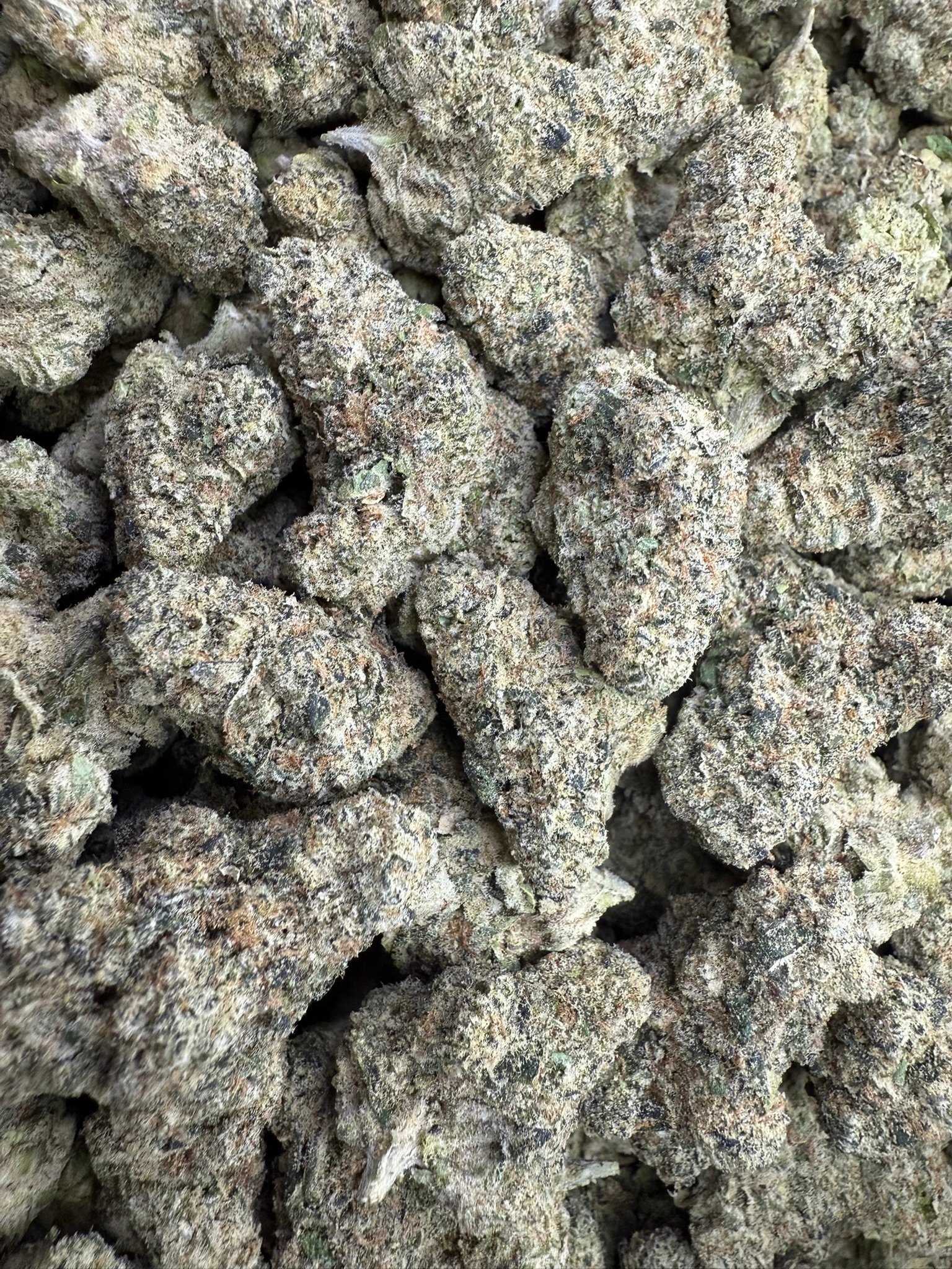 Grape Zkittles